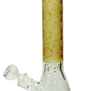 img 8947 1000x png.png