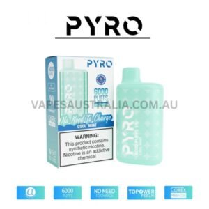 pyro vape 6000 puffs 5 cool mint 600x600 1.jpg
