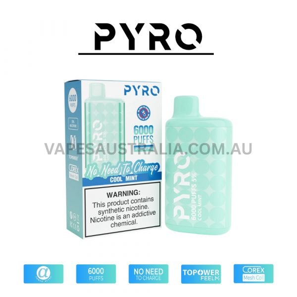 pyro vape 6000 puffs 5 cool mint 600x600 1.jpg